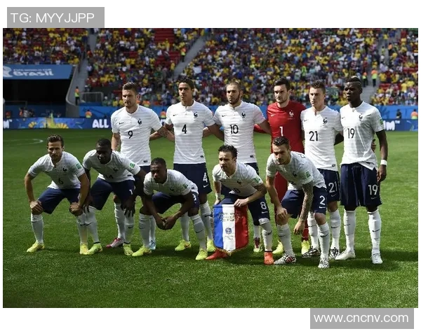 回顾2014年法国队足球明星阵容及其在世界杯上的精彩表现