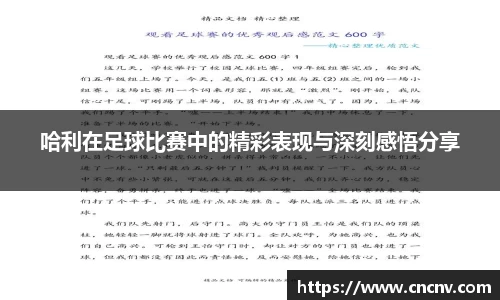 哈利在足球比赛中的精彩表现与深刻感悟分享