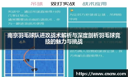 DB电竞